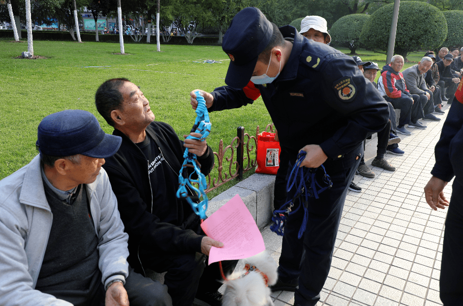 未經登記飼養犬隻,遛狗不牽繩,犬糞不及時清理