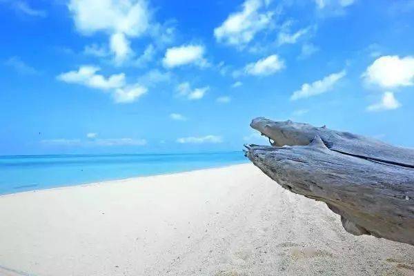 12月特惠海南分界洲島呀諾達雨林亞龍灣國際玫瑰天涯海角拉斯維加斯秀