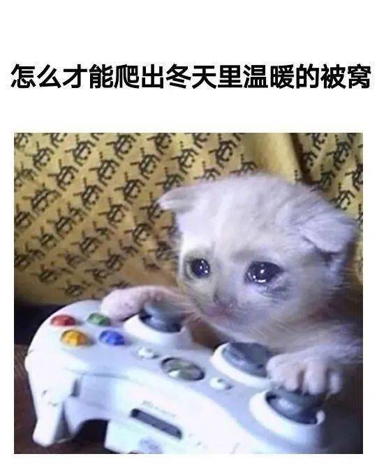 小时候冬天的早上想要起个床到底有多难？