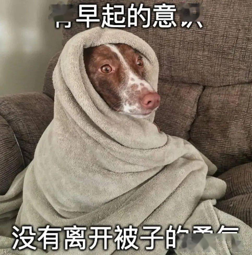小时候冬天的早上想要起个床到底有多难？
