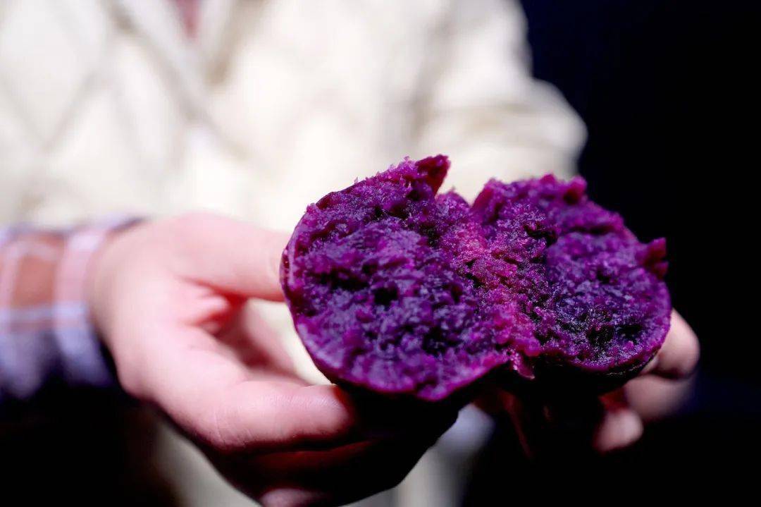 6度甜的紫薯,你吃过吗?