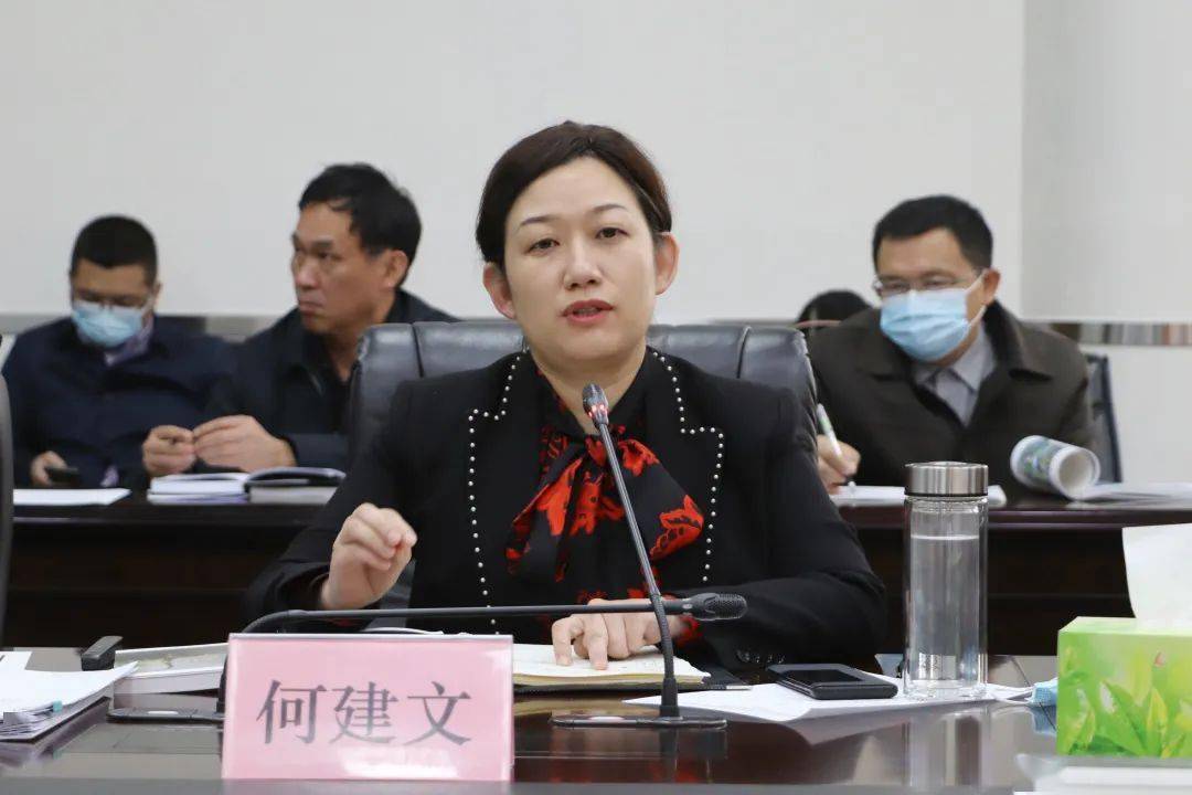 黄陂区领导听取武汉中华恐龙园旅游度假区项目设计方案