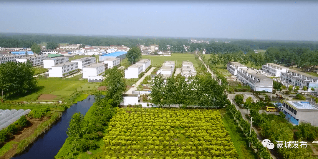 【拉高标杆 奋勇争先】马集镇:凝心聚力促发展 家居产业谱新篇_蒙城