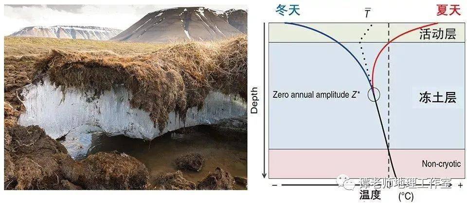 一个典型的多年冻土见图1 地表有一些覆盖物(土壤或一些植被,这一层