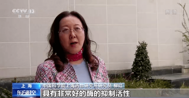 实验|我国多种抗新冠病毒药物，有新进展