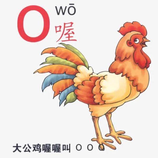 读音|拼音“o”读“欧”还是“窝”？网友吵上热搜！