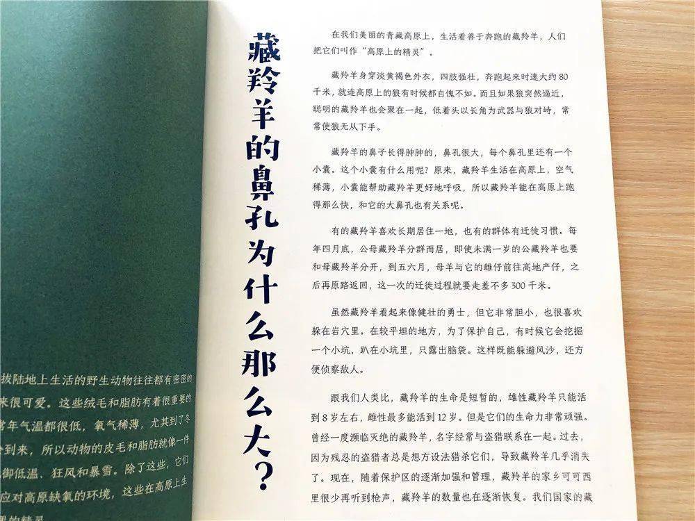 孩子|震撼！孩子读完它，相当于把中国走了一遍，知识和眼界远超同龄人！