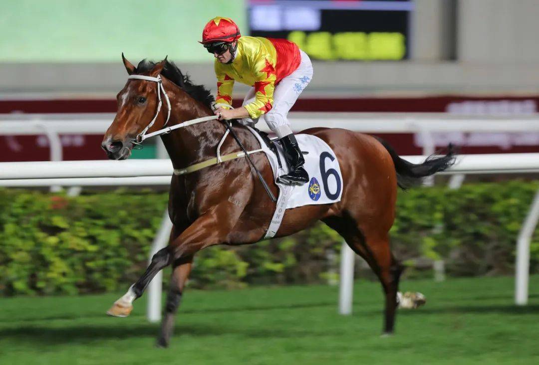 「精神威」直领到底扬威中银香港马会杯