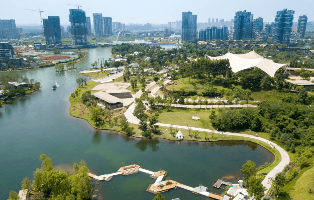 成都的湖底,藏的全是惊喜