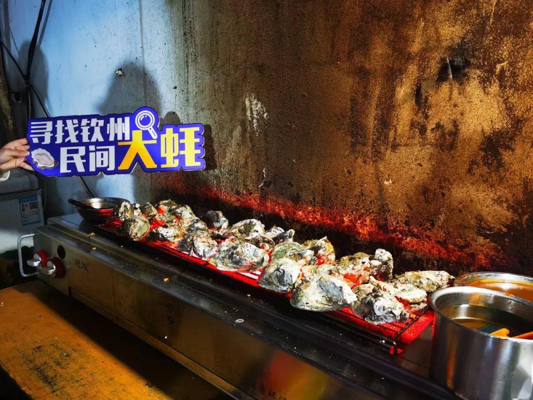 云燕,苏文"航拍广西","鸿哥说广西","南疆八桂"还有广西