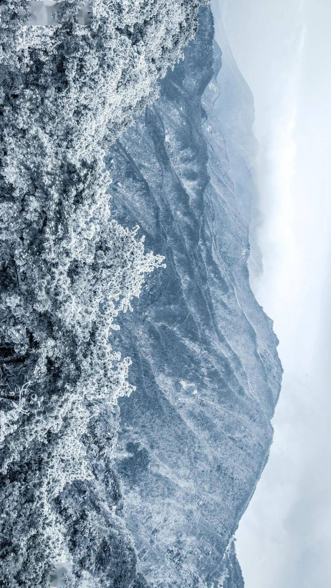 冷空气|小雪：花雪随风不厌看，又是一年小雪时