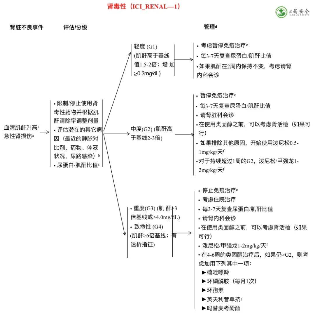 症状|NCCN丨免疫治疗相关毒性的管理指南2021.4版②（中文）