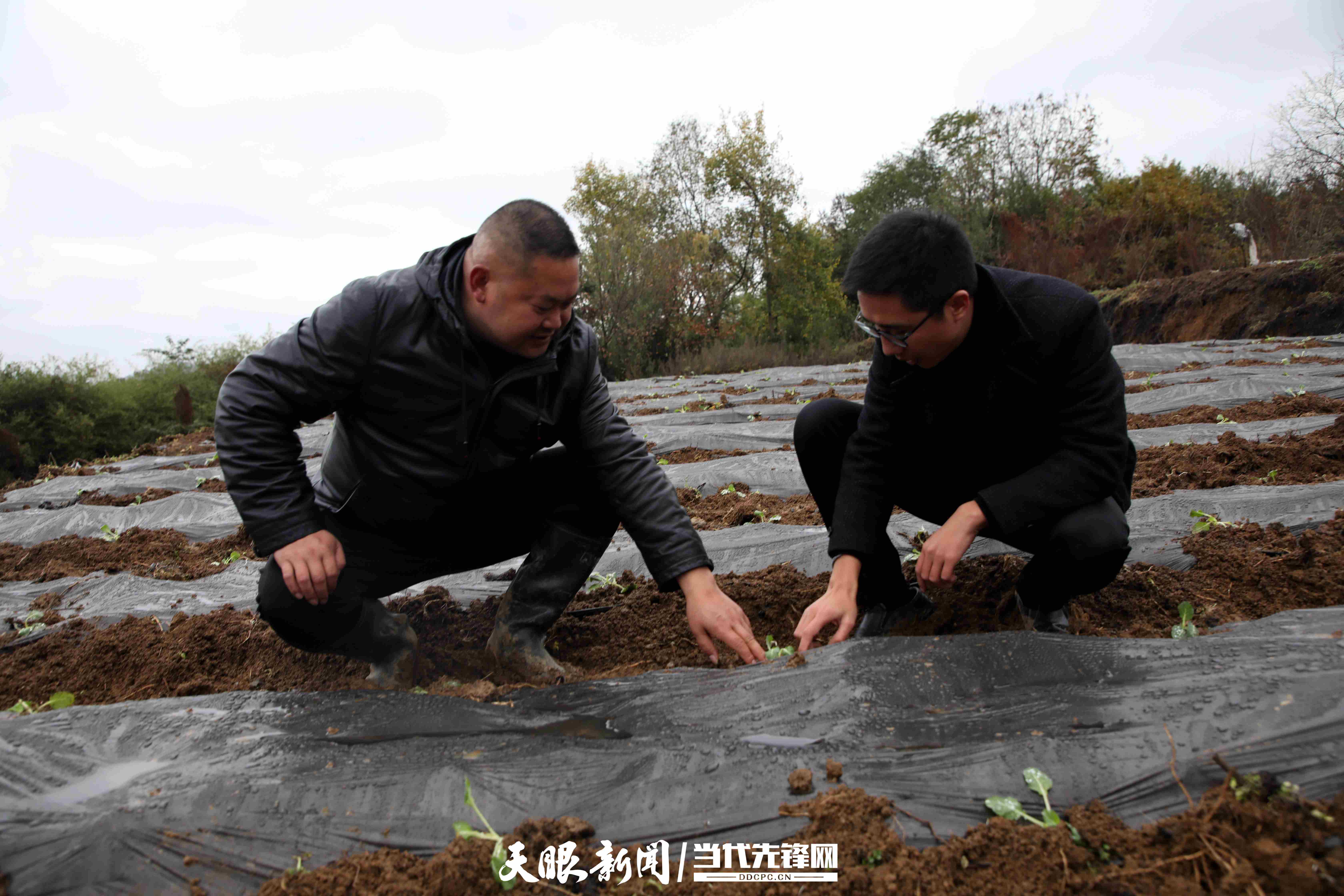 贵州日报天眼新闻集记者 谢朝政编辑 顾野灵编审 李凯返回搜狐,查看