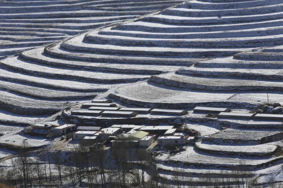 节气|今日小雪，自在翩跹，飘过万家炊烟