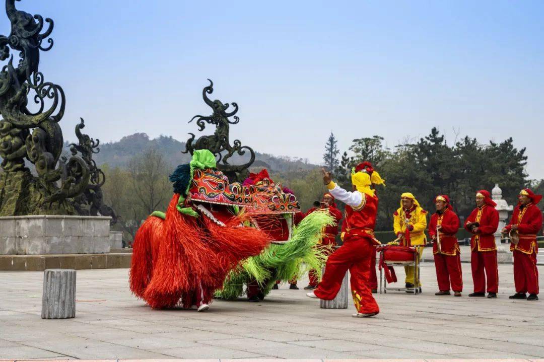 舞狮子开心演出飘逸狮龙共舞耍龙舞耍狮子双龙无舞美丽邳州银杏隧道