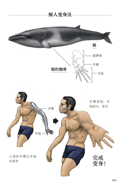 火烈鸟|绘画科普界中的阴间杠把子！他的插画惊艳了我的钛合金狗眼