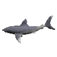 3ada6c89b43b409f9cf4e9c22bee2a8e.gif