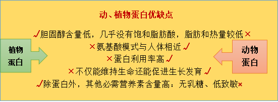 机体|膳食蛋白“质”多少