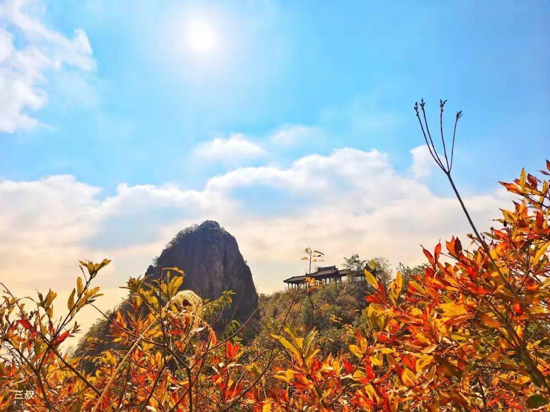 缤纷季节相约万年浦江_摄影