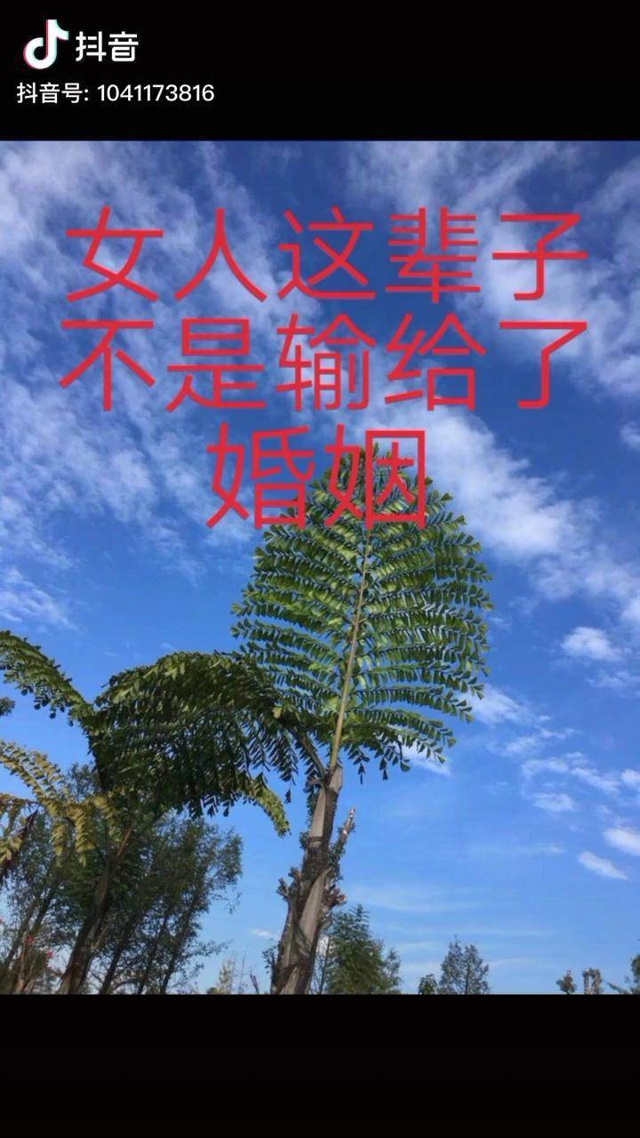 女人这辈子不是输给了婚姻也不是输给了爱情更不是输给了男人而是输给