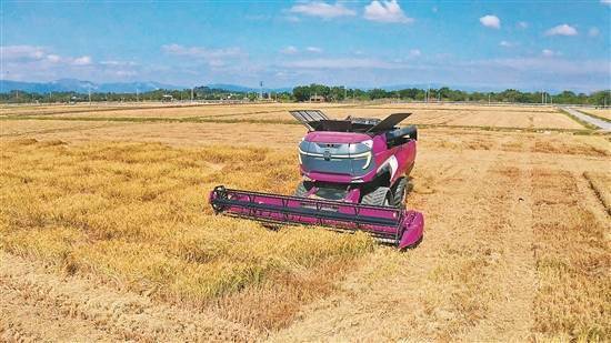 碧桂园万亩智慧农业园：积极探索现代科技农业发展新模式