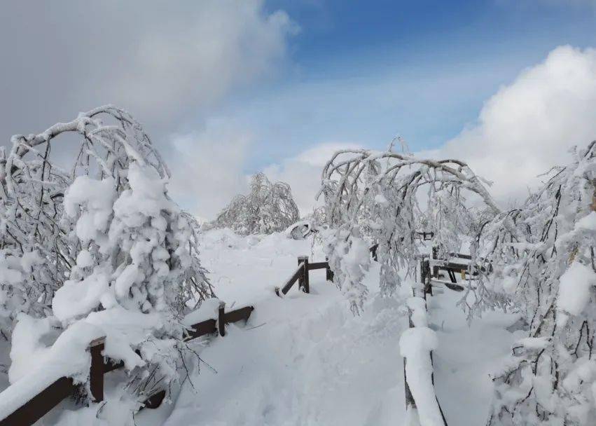 【冰雪旅游】凤凰山的雪是上帝写给人间的诗