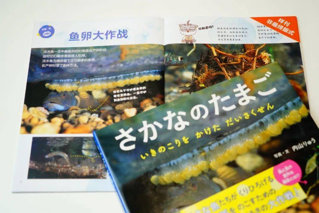 中国陪伴小学生成长, 开启自主阅读, 这本杂志令孩子爱不释手
