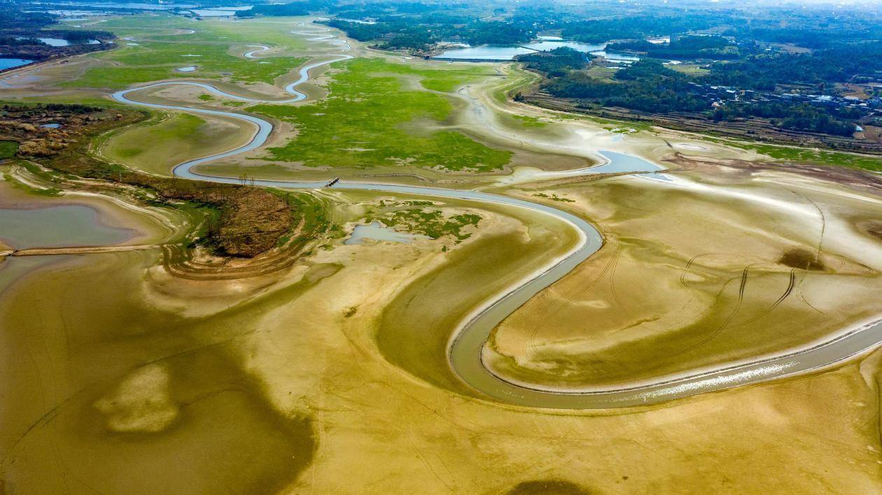 枯水期|鄱阳湖进入枯水期 湿地景观美翻了 戳图欣赏！