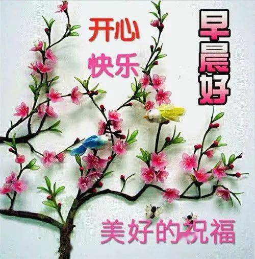 早安馨语唯美聊天送给朋友们