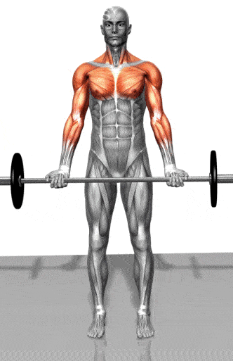 b37de16cf33b498b976ae758fb425ef1.gif