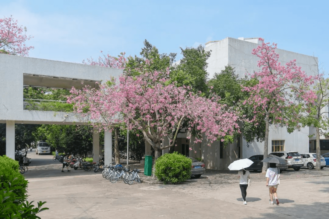 你好,汕头大学!_汕大