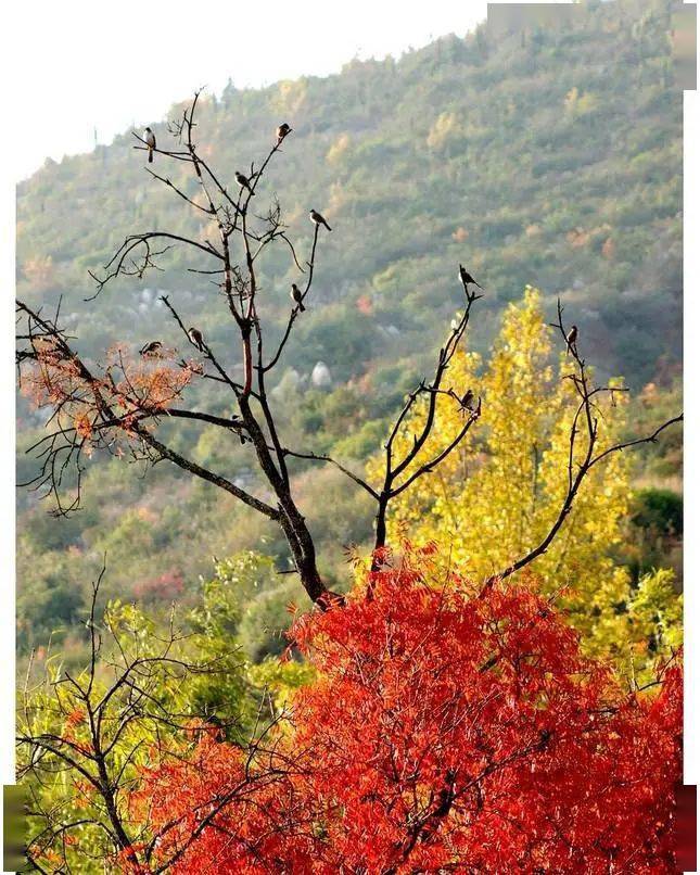 宣威西泽乡:醉了的小山村