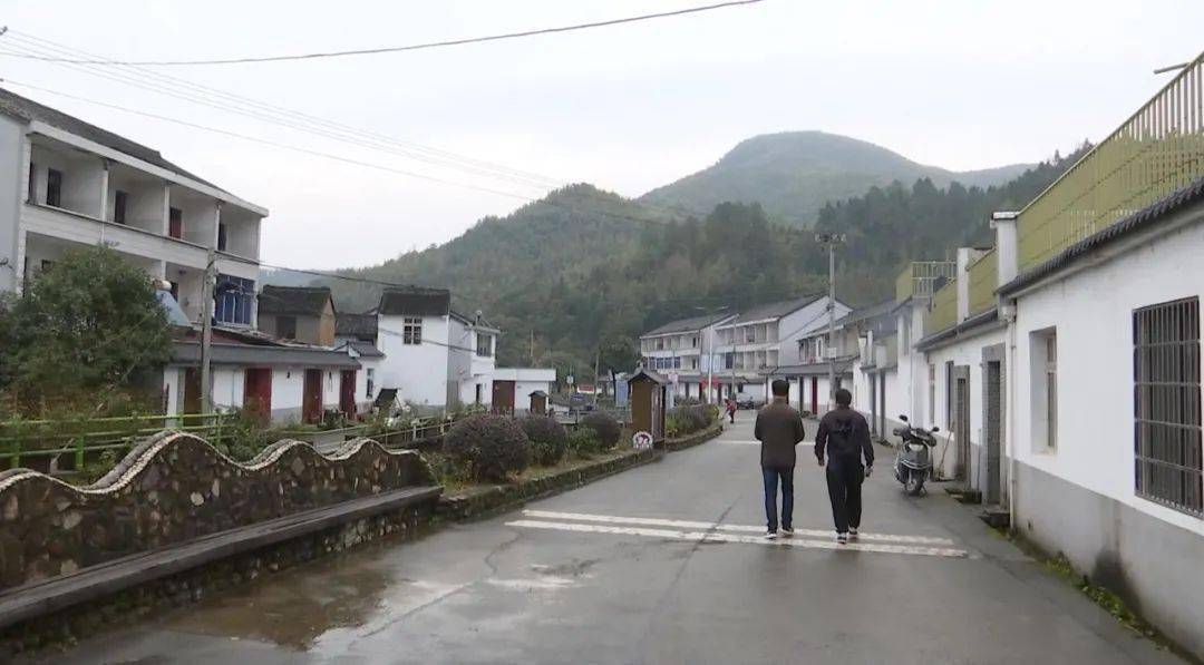 的村道 每月农历十八,是宁波奉化大堰镇箭岭村的环保集市日