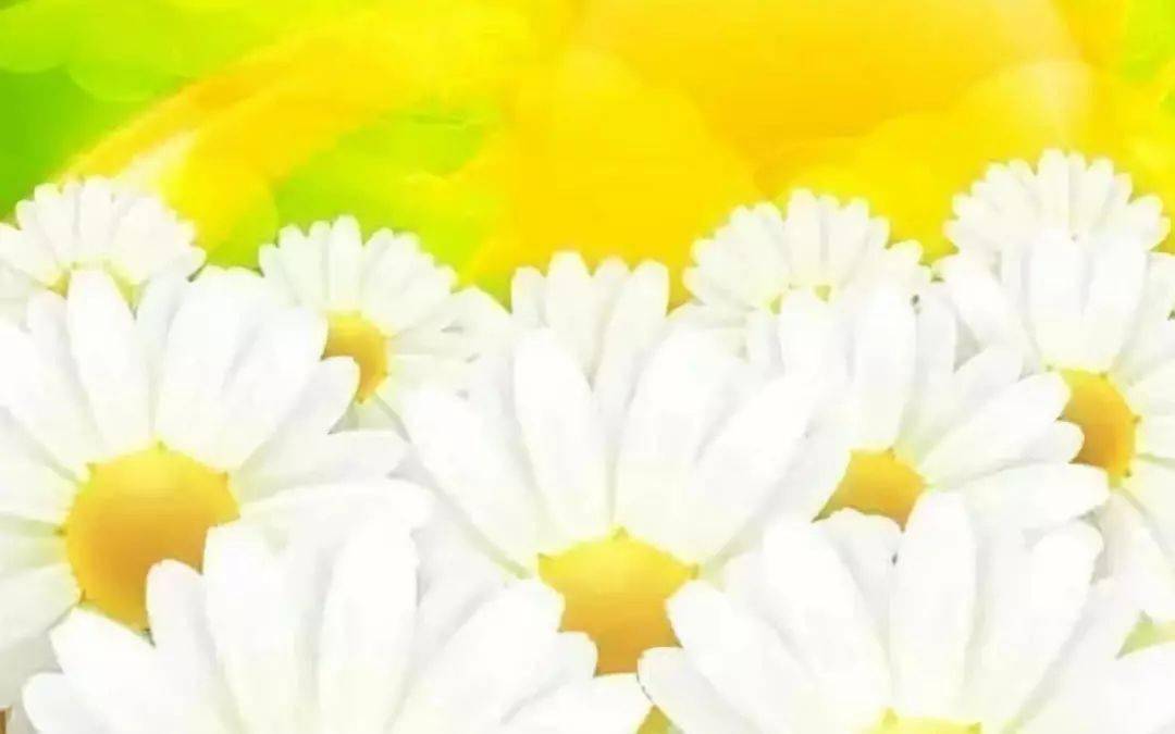 朗诵 | 感恩节：汪国真《感谢》