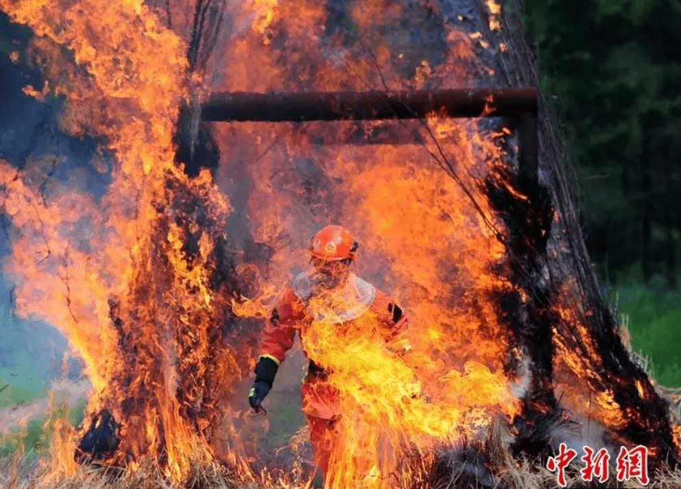 女童|24岁消防员去世，送别现场画面戳痛所有人：他原本3个月后就要结婚了…