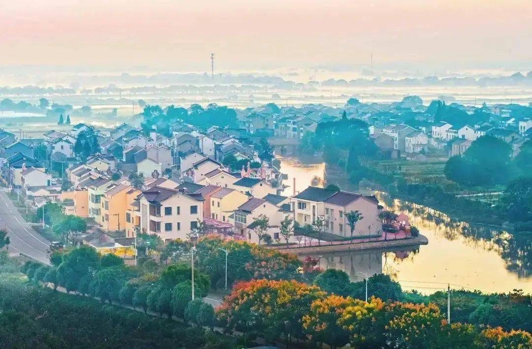 埭头镇奋进新征程展现新作为努力厚植绿色现代化发展基底