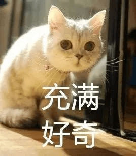 网红罗小猫离世42天，骨灰被殡仪馆调包u0026amp;quot;配阴婚u0026amp;quot 