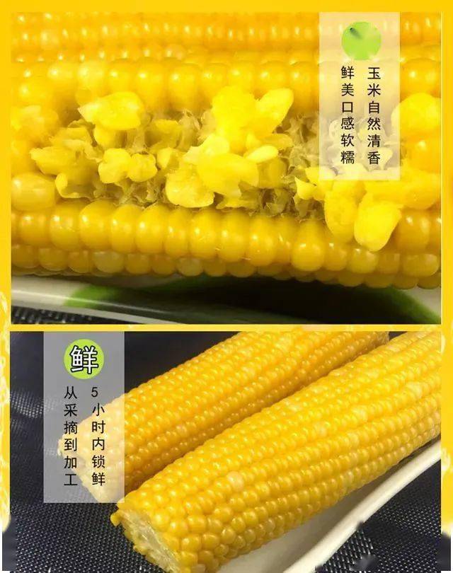 d50534574ff045f0b60b7bed069235a9.jpeg