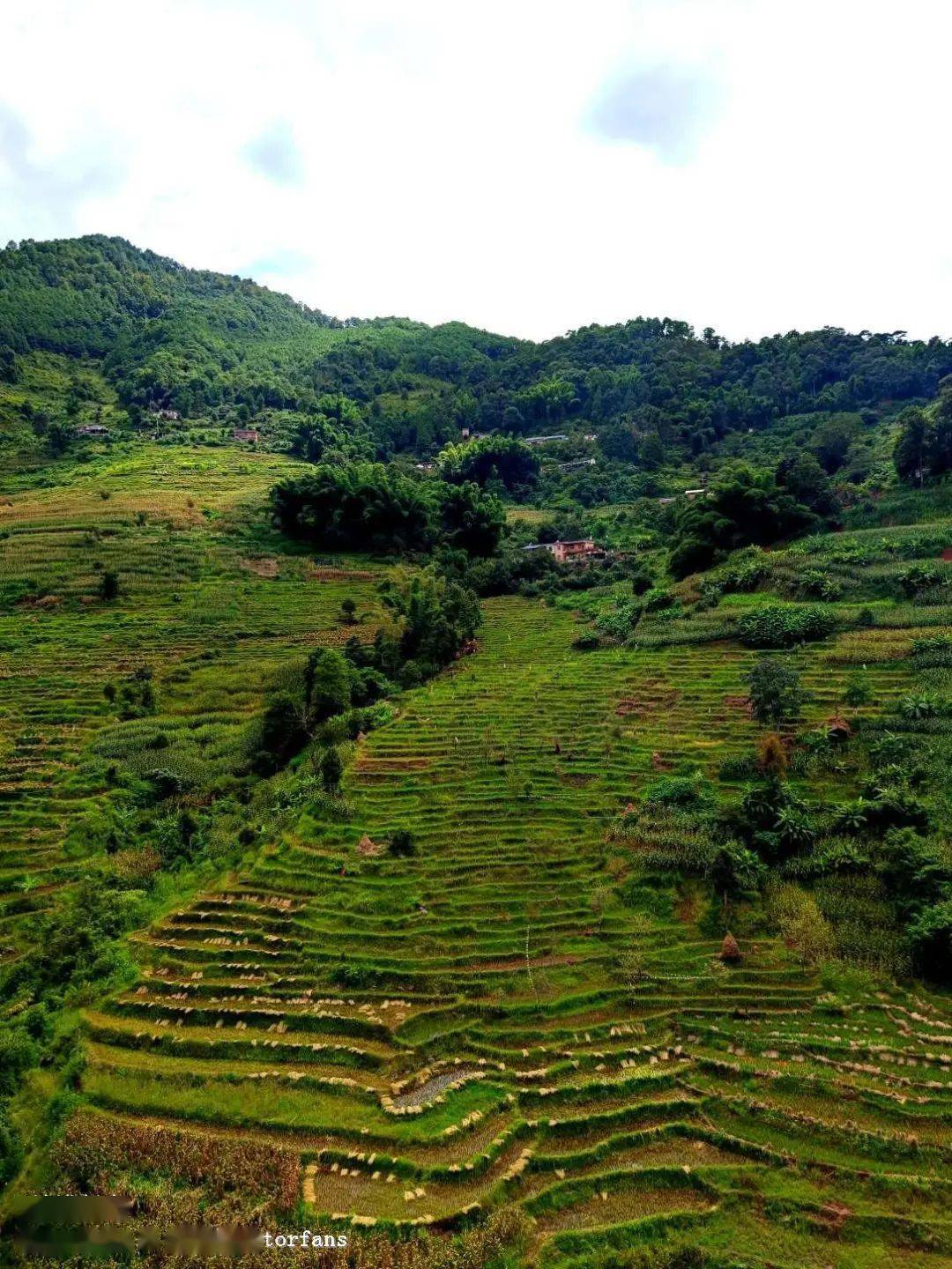 【美丽的阿墨江】阿墨江属于红河水系,因穿越在崇山峻岭而形成一条
