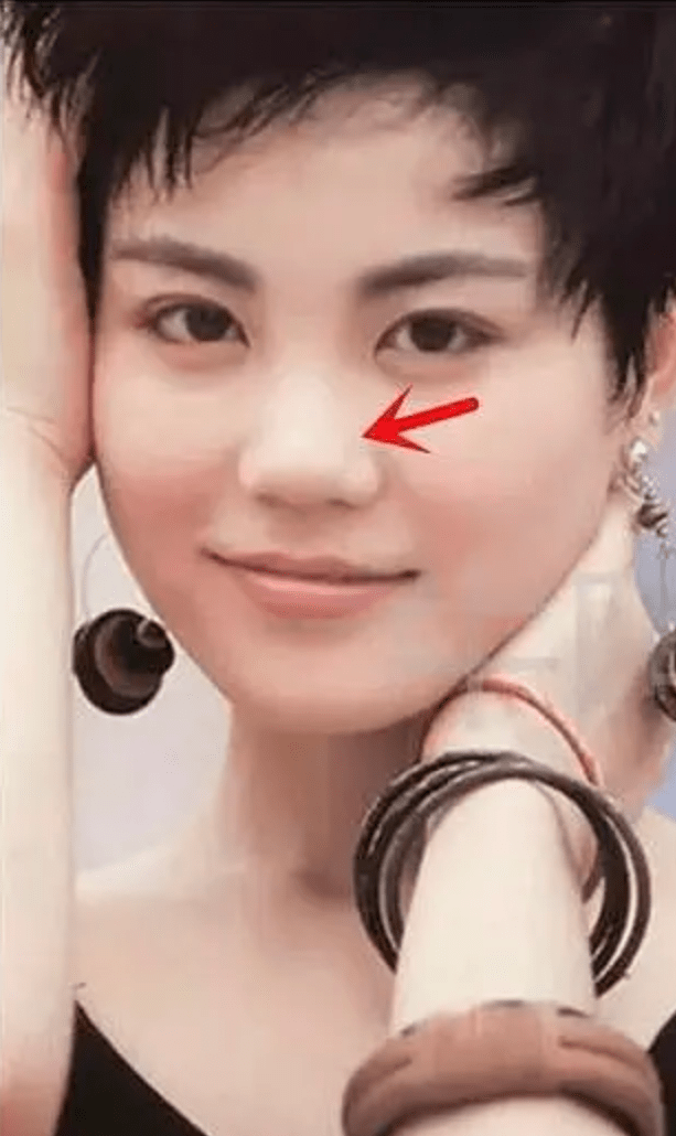 王菲气质更多来自颧骨和身材,如今鼻子却挛缩了,逃不过变蔡明