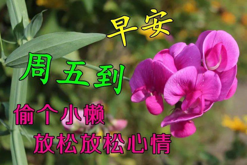 中老年表情包,相信一切都是最好的安排.早安.