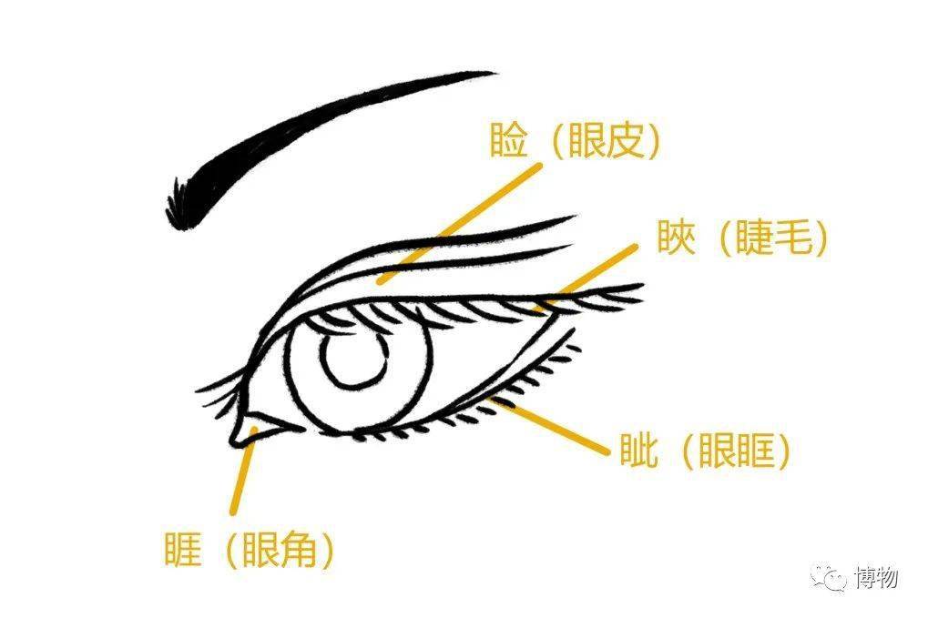 有个成语睚眦必报,睚(yá)指眼角,睚眦就是发怒瞪眼睛——通常只