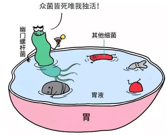 吃什么药能治幽门螺杆菌 b52c5b5489f6455680da7bb8c4386c9c.png