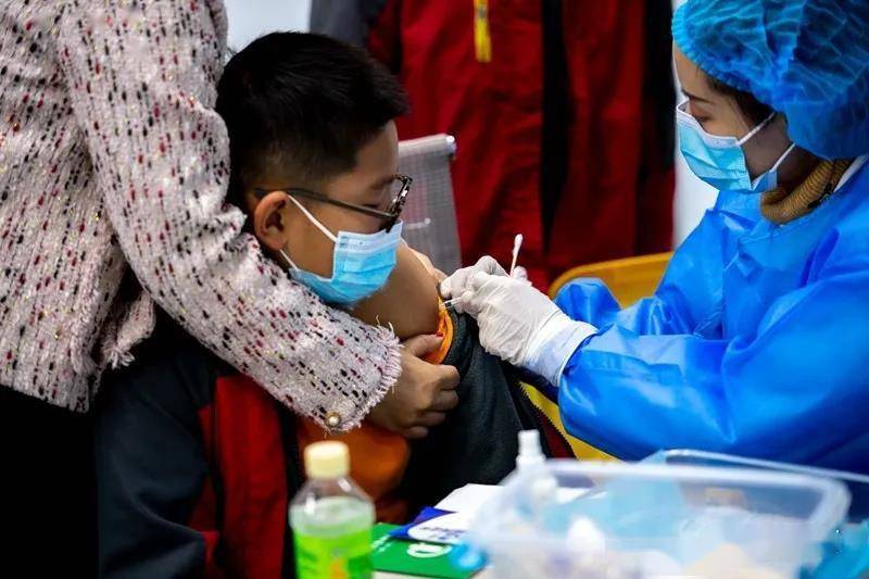 接种|11月26日的新冠疫苗接种安排来了