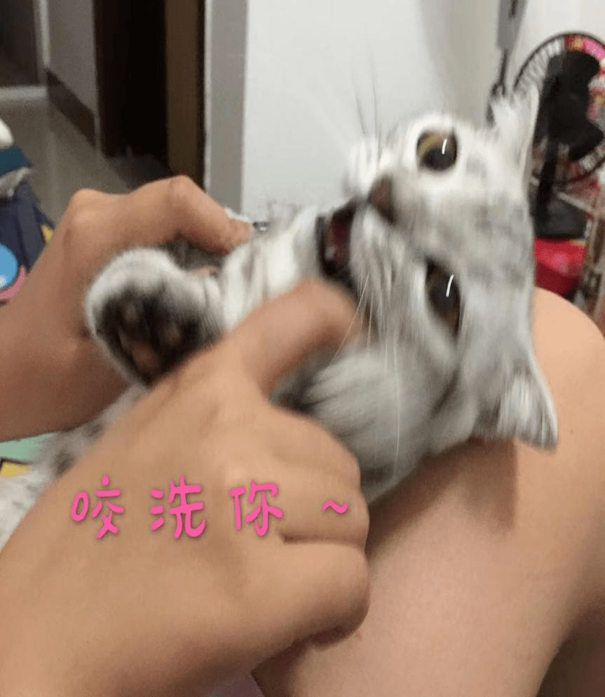 008f3348224d41c0979d9fb49cac91dc.png