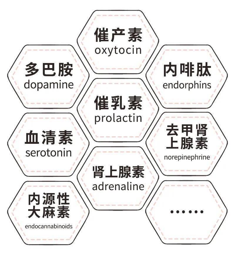 内分泌|单身女性的性生活该怎么办？今天这篇不能错过