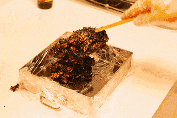 你再忙都要看看!_阿胶_手工_东阿