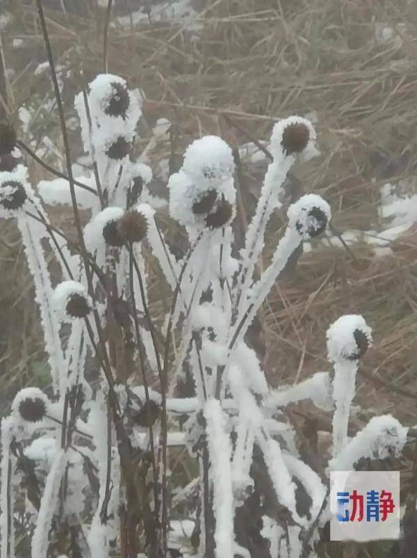 夜间|零下5℃，贵州此地冰天雪地！未来三天，冷空气继续来袭！