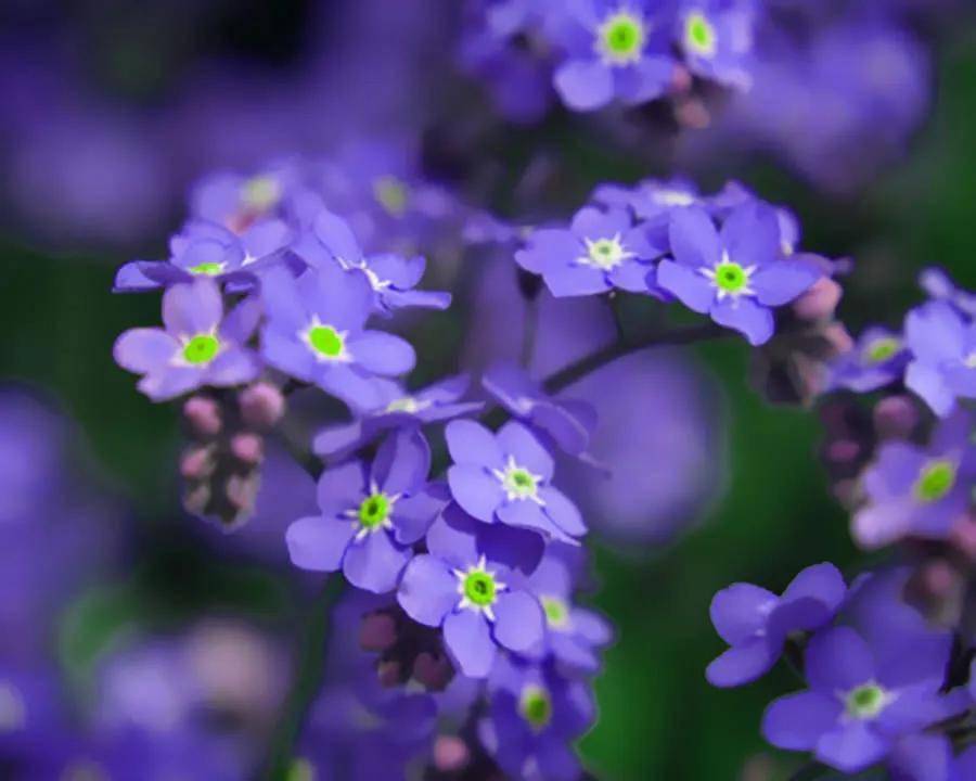 1003bfeefd284897abaed0b8e5ab5f87.jpeg