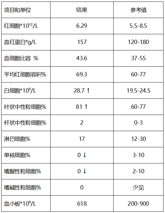 一例犬酮症酸中毒的診療報告